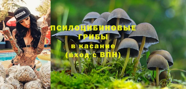 марки lsd Щигры