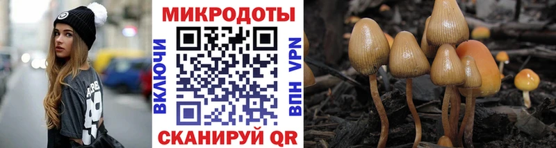 Псилоцибиновые грибы Magic Shrooms Тотьма
